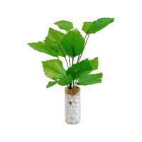 Déstockage de produits défectueux fengyiwj : Boîtes de vaisselle, bagues de Noël, miroirs pour plantes et divers produits défectueux