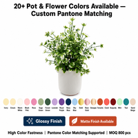 Petite plante en pot de chrysanthème réaliste, décoration moderne, petite plante de bureau en plastique faite à la main, design durable, tendance