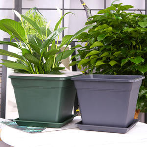 Prix <span class=keywords><strong>moins</strong></span> <span class=keywords><strong>cher</strong></span> hydroponique Pot en plastique noir pour les plantes de bleuets - Product Image 2