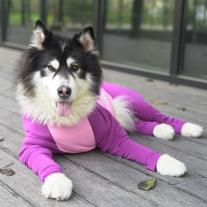 Pull intégral pour grand chien, anti-chute de poils, hiver, printemps, automne, vêtements pour animaux à quatre pattes, pour Golden Retriever, Labrador - Product Image 4