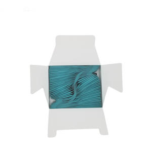 L'italia ha importato Rapido Sviluppo X Ray Film Busta Dentale Monobath - Product Image 4