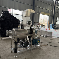 Grote RVS Gemberpers Ananas Citroen Appelpers Industriële Schroefpers Machine 220V/380V/110V