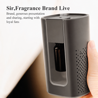 Diffuseur Nébuliseur d'Huiles Essentielles Rechargeable Sans Eau en Aluminium à Marque Privée Exclusive de Haute Qualité, Vente Chaude
