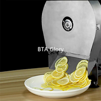 Elektrische en handmatige snijmachine voor citroenen, sinaasappels, aardappelchips, groenten en wortelen (commercieel gebruik)