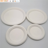 Assiettes Rondes Compostables en Bagasse de Canne à Sucre Sans PFAS de 8,75 Pouces pour le Camping