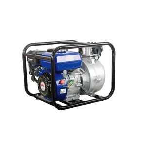 SALI 2HP50 General Purpose 2-Inch Centrifugal Water Pump