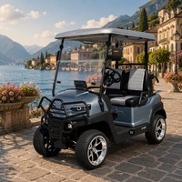 Voiture de golf électrique 2 places Tarion Golf Course Resort Hotel, batterie lithium 72V, certifiée DOT, autonomie 90 km, homologuée pour la route