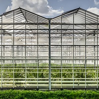 Commercial Agriculture Serre Weifang Fournisseur pour la Vente