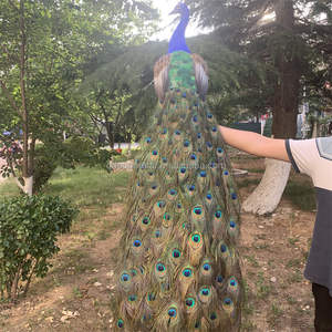 A-258 Elegant Podium Showcase Handgemaakte Gesimuleerde Kleurrijke Veren Pauw Grote Pauw Vogel Voor Tuin Decor - Product Image 2