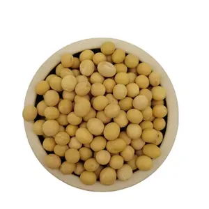 High Quality Premium Natural and Non- GMO Yellow Soybean Seeds / Soya Bean /Soy Beans in Bulk at Cheap Cost