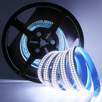 Bande lumineuse LED à double rangée SMD2835 240 LED 480 LED 15 mm Blanc 3000K/4000K/6500K Haute luminosité Étanche Flexible