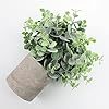 OH ARTS Plantes Artificielles en Plastique de Haute Qualité Eucalyptus <span class=keywords><strong>Romarin</strong></span> Buis Verdure pour Maison Bureau Ferme Étagères Décor - Product Image 3