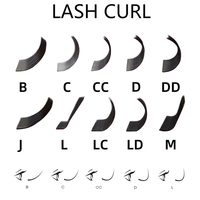 LashPlus Fournisseur 0.05 0.07 Extension de Cils Easy Fanning C D Curl Easy Fan Blooming Lash Private Label Easy Fanning Lashes