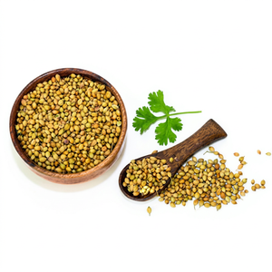 Cilantro Indio Entero Seco, Nueva Temporada, Calidad Premium, 100% Natural, Especia al por Mayor de Gujarat - Product Image 1