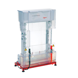 IKEME Labl Instrumento de electroforesis Tanque Sistema de electroforesis en gel Análisis de proteínas Aparato de electroforesis en gel vertical - Product Image 6