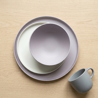 Ensemble de vaisselle écologique en PLA, vaisselle biodégradable, passe au lave-vaisselle et au micro-ondes, style nordique, bol, assiette, vaisselle en RPET