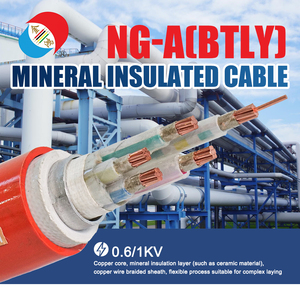 Câble minéral isolé flexible NG-A(BTLY) Résistance au feu, faible émission de fumée, sans halogène, pour la distribution d'énergie principale - Product Image 2