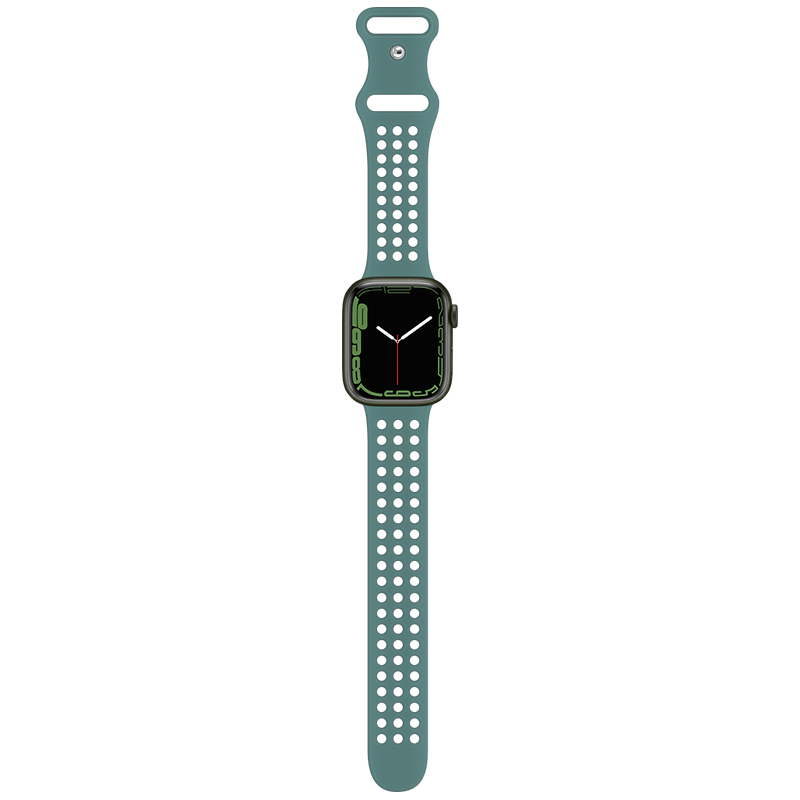 Pin Aiguille Vert