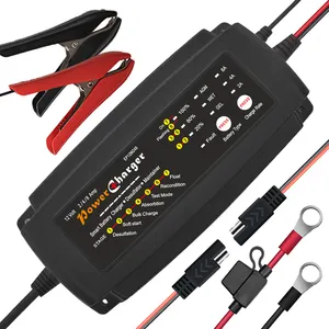 12 volt 2A/4A/8A seçilebilir 7 aşamalı akıllı otomatik bakım Desulfator 12 V araba pil şarj cihazı