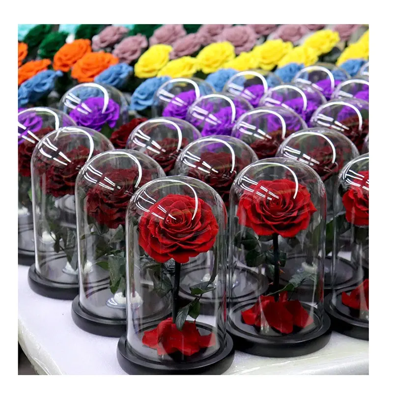 Wholesale Preserved Flowers Natural Real Touch Dried Long Life Eternal Stabilized Flower Head Flower Glass Dome Romantic Gifts