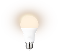 Ampoule LED E27 A19 9W 900lm haute luminosité 110V-277V, type de culot B22, pour entrepôt, corps en plastique, alimentation CA