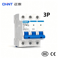 Disjoncteur miniature à boîtier moulé (MCCB) Chint NXB-125 DZ158-125H 2P 10A 230V 400V 6kA Courbe C pour courant alternatif (CA) - Vente en gros