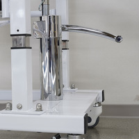 Chaise de transfert et de toilette hydraulique légère en acier certifiée CE ISO, capacité 100 kg, pour la réadaptation à domicile - Offre Spéciale