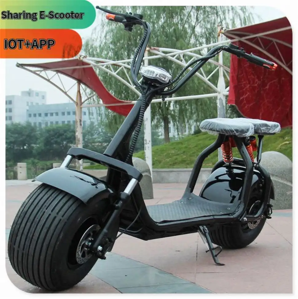 3 Wheel Roadpet Ginger Mypet Electric Scooter CE