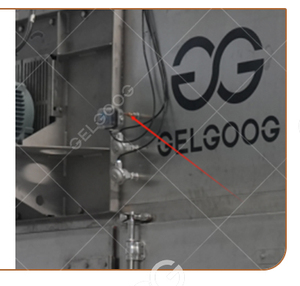 Equipo para Tostar Nueces Gelgoog, Máquina para Tostar Nueces de Macadamia, Semillas de Girasol, Cacahuetes, Sudáfrica - Product Image 3