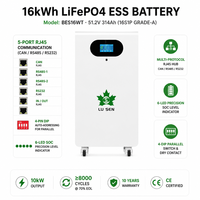 Batterie au lithium personnalisée 51,2 V 314 Ah certifiée 16 kWh pour système de stockage d'énergie solaire domestique