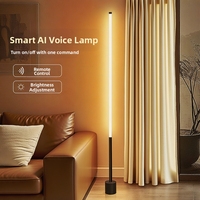 Lampe sur pied LED décorative d'ambiance, lampe de lecture, veilleuse pour salon, chambre, chevet, canapé, coin