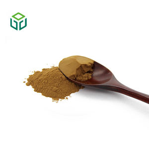 مستخلص الفطر الأسود عالي الجودة، مستخلص أوريكولاريا أوريكولا النقي، مستخلص الفطر الأسود العضوي متوفر في المخزون - Product Image 3