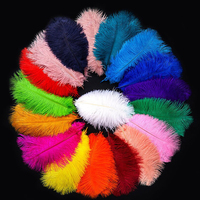 Plumes d'autruche multicolores teintées de 35-40 cm pour la décoration de fêtes, carnavals, bricolage, scènes et centres de table