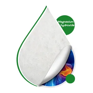 I produttori di idrossido di magnesio forniscono polvere di idrossido di magnesio basso sfuso prezzo Mg(oh)2 1309-42-8