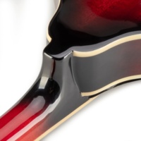 ARTINY Wholesale 2025 Hot Sale 8 Strings Mahogany Body High Quality Acoustic Mandolin