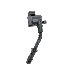 BRABUS Lorinser คอยล์จุดระเบิด A2769060260สำหรับ Mercedes Benz E300 G63 S300 OE 0221604034 - Product Image 2