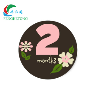 ¡Póngase en contacto con el proveedor chatear ahora! Hito pegatinas bebé hito - Product Image 1