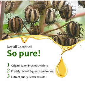 Commercio all'ingrosso 1 kg olio di ricino alla rinfusa raffinato, trasportatore naturale spremuto a freddo, olio di ricino biologico - Product Image 2