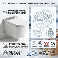 WC intelligent mural haut de gamme CUPC UL avec bidet automatique, auto-nettoyant, télécommande et fonction WC intelligent