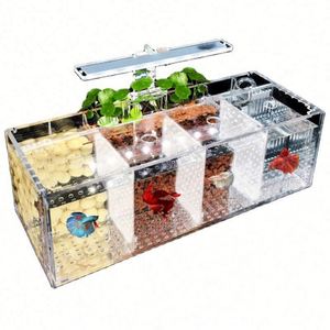 Accesorios de Decoración para Acuario Ecológico, Modernos, de Acrílico, Forma Rectangular, con Diseño de Cumpleaños y Naturaleza Muerta - Product Image 1