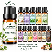 Huiles parfumées de qualité supérieure en gros, 10 ml, marque privée, pour la fabrication de bougies et de savons, pour coffrets cadeaux, diffuseurs d'arômes