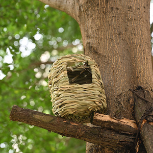 Nido redondo tejido de paja para mascotas, 11,5x10,5 cm, para hámster, conejillo de indias, chinchilla, erizo, casa para dormir - Product Image 4