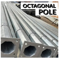Poste de Luz Galvanizado Octogonal/Hexagonal Personalizado SLOER, de Uno o Dos Brazos, de 6m, 7m, 8m, 9m, 10m, 11m, 12m