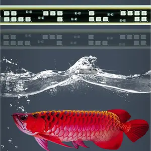 Zaohetian Vis Rood Water Helder T8 Glas Led Onderwaterlamp Led Aquarium Licht Arowana Led Aquarium Lamp