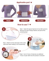 Patchs OEM de thérapie thermique au carbone actif pour le soulagement des douleurs menstruelles Fourniture en vrac pour soulager les coliques abdominales