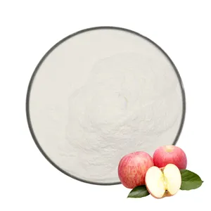 100% Pure And Natural Food Grade Apple Extract Powder