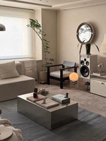 Table basse de style vintage minimaliste en acier inoxydable durable, table d'appoint moderne de luxe pour salon