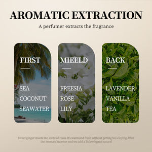 Serie SADOER agli Aminoacidi e Cocco per la Cura del Corpo e dei <span class=keywords><strong>Capelli</strong></span>, Shampoo e <span class=keywords><strong>Balsamo</strong></span> Idratante e Lisciante con Controllo del Sebo - Product Image 5