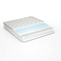 Matelas de lit Willsoon personnalisé gris pour chambre à coucher, taille Queen/King, en mousse haute densité, anti-acariens, hypoallergénique, en mousse à mémoire de forme, adaptable