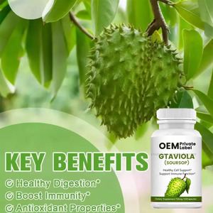 Ausreson แคปซูลอาหารเสริมสมุนไพร soursop graviola สำหรับผู้ใหญ่ - Product Image 3